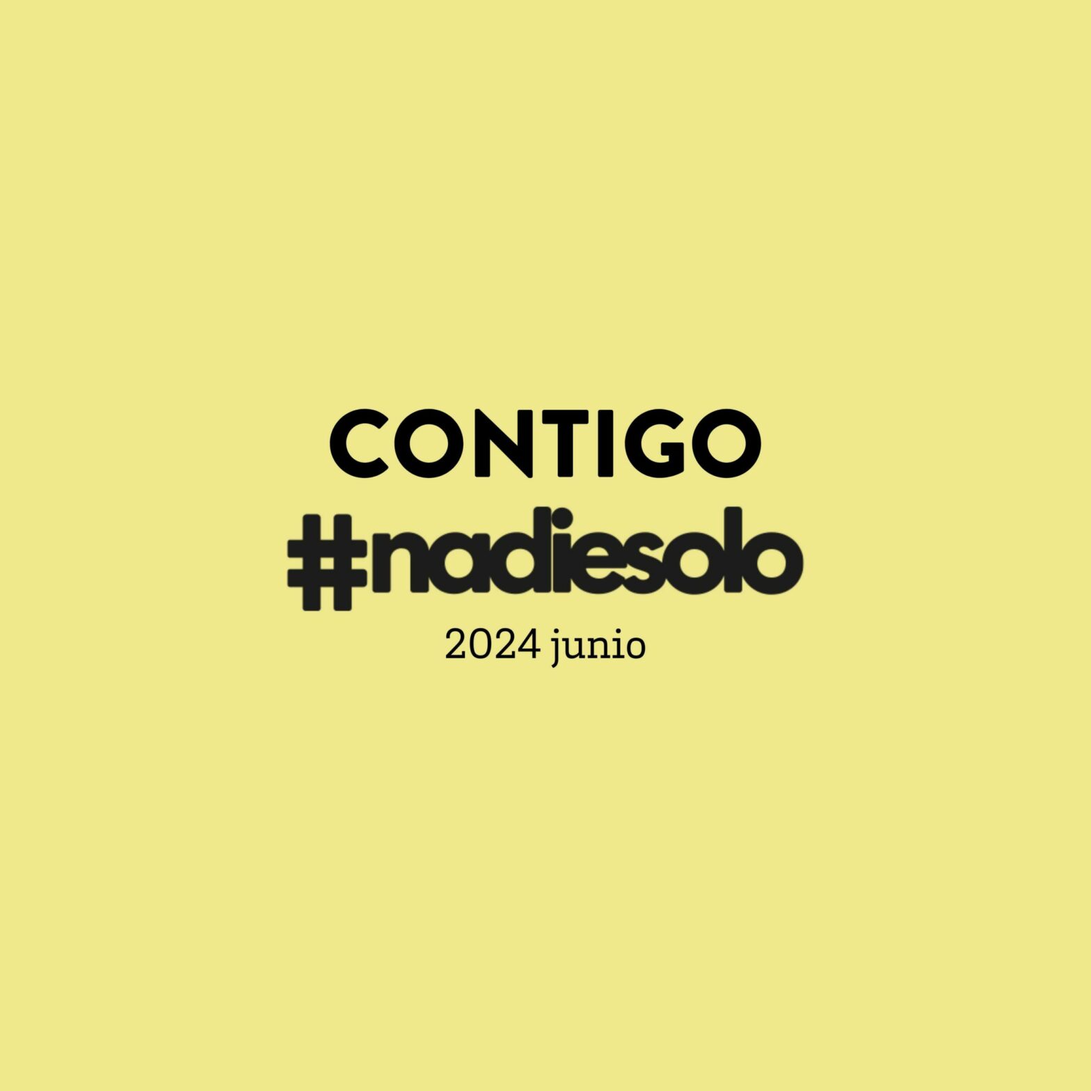 Noticias de Nadiesolo. Junio de 2024